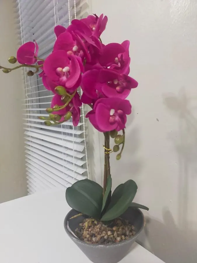 Casa vacanze Rumah Mawar By Impian Homestay Klia-Salak Tinggi-Nilai Sepang