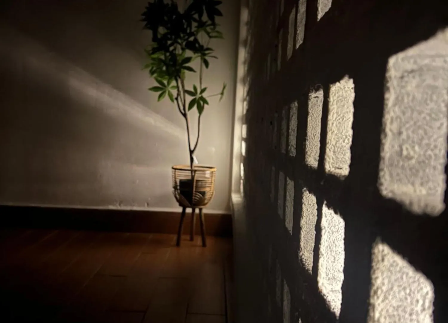 Rumah Mawar By Impian Homestay Klia-Salak Tinggi-Nilai Sepang